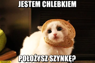 Vegasik69 - #heheszki #humorobrazkowy #memy #koty
