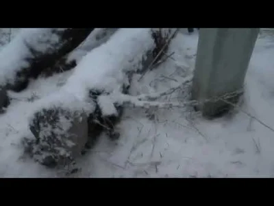 oydamoydam - Co to jest?

Zamarznięty przykuty do słupa żołnierz.


 
#ukraina