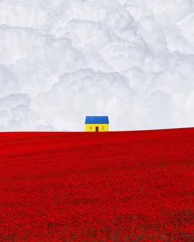uknot - #ukraina #wojna #sztuka #fotografia