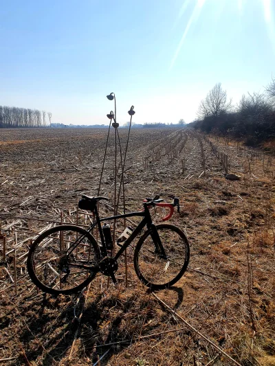 StulejmanWielki - @Talarkowy: byłem, wygladalo to tak. Jeden wielki ujeb, ale sucho (...