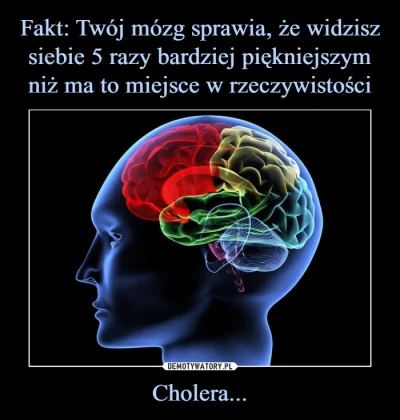 ExitMan - > odwrotnie, wyglądamy tak jak siebie widzimy w lustrze

@NieRozumiemIron...