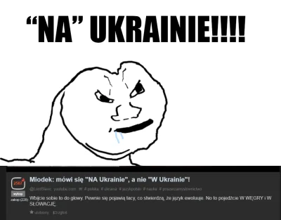Clefairy - Ale żeby mieć ból dupy o poprawną formę "W" Ukrainie to trzeba być debilem...