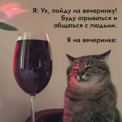 poorepsilon - #humorobrazkowy #heheszki #jezykrosyjski #rosja #koty
Zachęcam do obse...