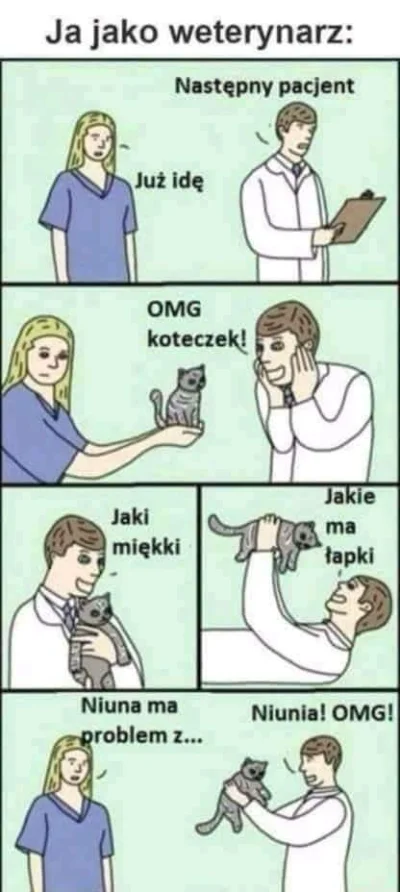 arkan997 - #humorobrazkowy #koty