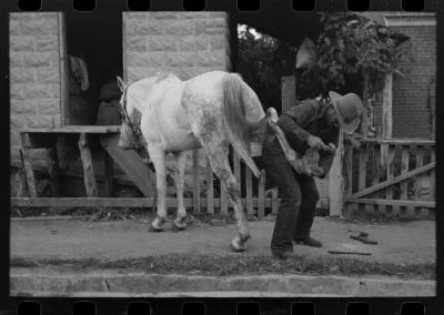 myrmekochoria - Russell Lee, Mormon podkuwający konia, Santa Clara, Utah, 1940.

#s...