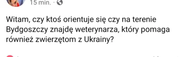 Zielonykubek - Mam pytanie, o co chodzi? Czy leczenie zwierząt z Ukrainy różni się od...