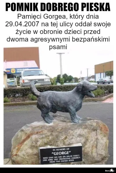 januszzczarnolasu - Pomnik się należy