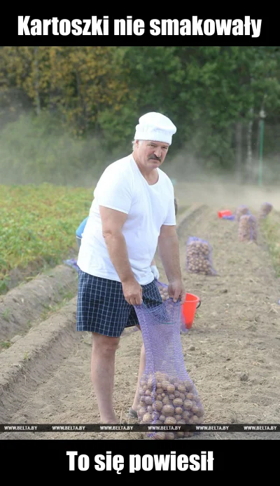 Normalnyczylidlawi3luinny - Kartoszki mu nie smakowały?