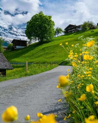 Borealny - Grindelwald, Szwajcaria
#earthporn #gory #szwajcaria #podroze