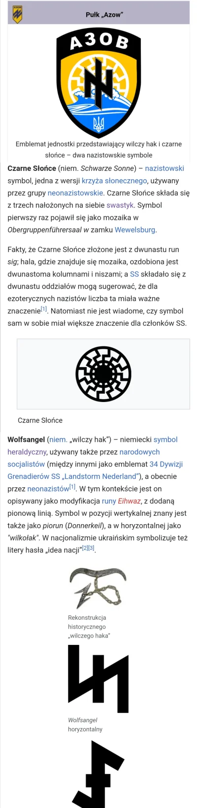 kvas - Prawdziwi bohaterowie! Polscy nardowocy to naziści, ale Azow jest spoko xD