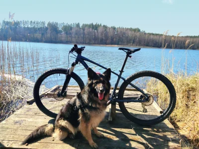 Ceglak4 - #psy #pies #mtb #rower #wiosna #owczarekniemiecki #jezioro to miało być tak...