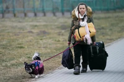 winokobietyiwykop - #ukraina #wojna #rosja #kitku #pies

Medyka PL, ukrainka po przek...