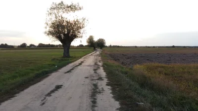 SpinOff - @Yurakamisa A ja chyba znam te wierzby. Też zrobiłem tam zdjęcie 4 lata tem...