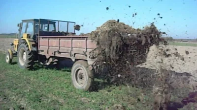 boromeusz - Trudno, czeka nas powrót do naturalnych i zdrowych metod nawożenia. I dla...