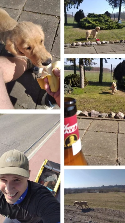 Mauupa - 88 717 + 42 = 88 759

Dzisiaj z Goja wyśrubowaliśmy jej nowy rekordzik. Tras...