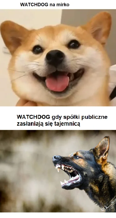 NPC358034 - @WatchdogPolska: jazda z nimi (ง ͠° ͟ل͜ ͡°)ง