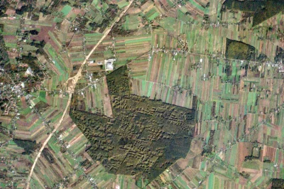 yolantarutowicz - Przykładowe zdjęcie satelitarne pokazujące budowę polskiej autostra...