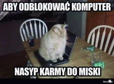 KarmazynowyHefalump - #smiesznekotki #koty #humorobrazkowy