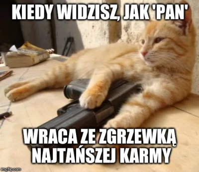 dlkv - Kto irytuje kota - ten dostaje szota ( ͡° ͜ʖ ͡°)

#heheszki #humorobrazkowy ...