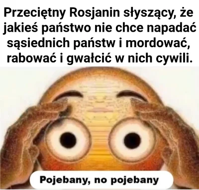 s.....i - Odnośnie tych memów na #pikabu o tym, że Polska tak naprawdę nie chce misji...