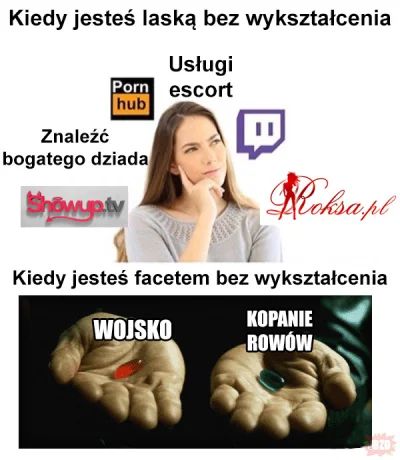 b.....s - #heheszki #humorobrazkowy #logikarozowychpaskow #logikaniebieskichpaskow #p...