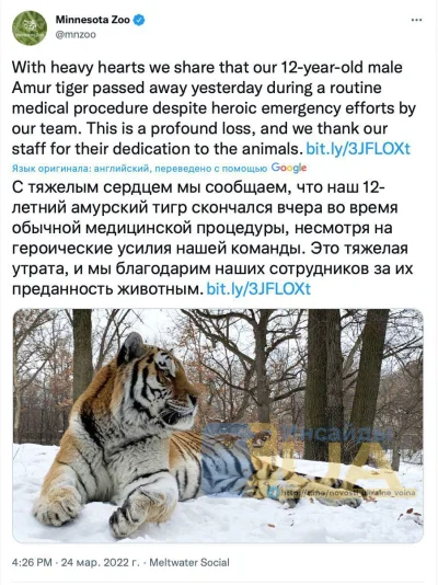 zdzichu-osmond - #rosja 
Zmarł Putin
Niestety ale nie ten, tylko 12-letni amurski tyg...