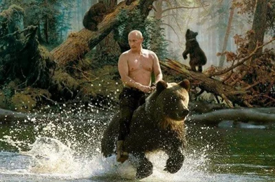 zniwiarzzchin - @galicjanin: Putin inaczej sobie zjednuje faunę i florę ( ͡° ͜ʖ ͡°)