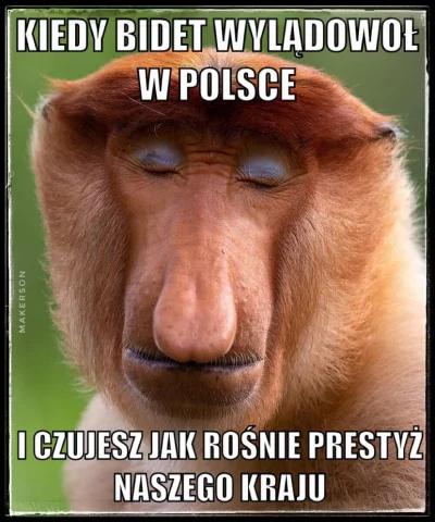 merti - #polska #usa #baiden #nato
#heheszki