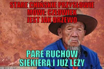 januszzczarnolasu - > Chińska prasa pisze o Polakach. "Rąbią drewno, by się ogrzać"
...
