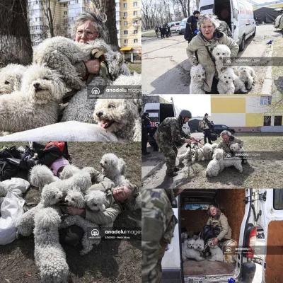 wfyokyga - "A resident of Irpeni Tamara Nazarova evacuated to Kiev with her dogs "The...