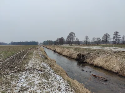 fidzio - Jak ma być normalnie jak koparka i piła mechaniczna to najlepsza metoda walk...