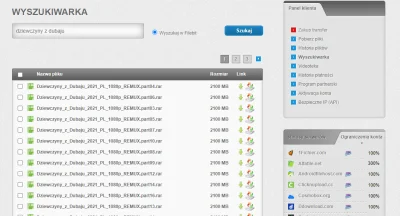 anusiaks - Na filebit - ponownie pojawiła się wyszukiwarka plików - wyszukuje pliki z...