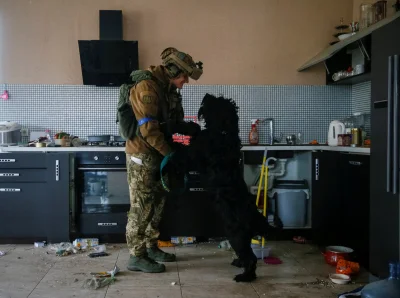 winokobietyiwykop - #ukraina #wojna #rosja #pies

Ukraiński żołnierz przytula psa por...