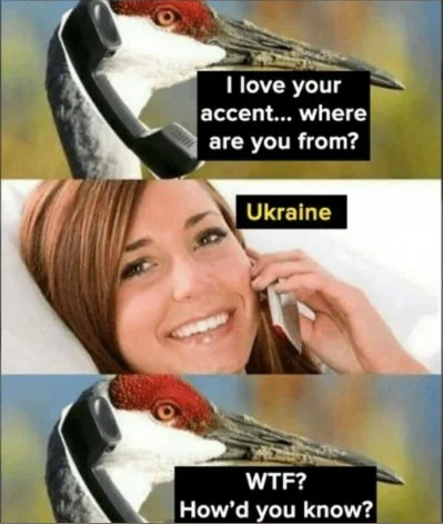 noekid - Dla rozluźnienia wklejam mojego ulubionego mema związanego z #ukraina o któr...