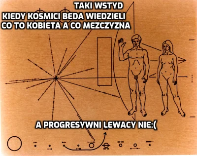 rifraw - Płytka Pioneera – dwie metalowe płytki umieszczone na sondach kosmicznych Pi...