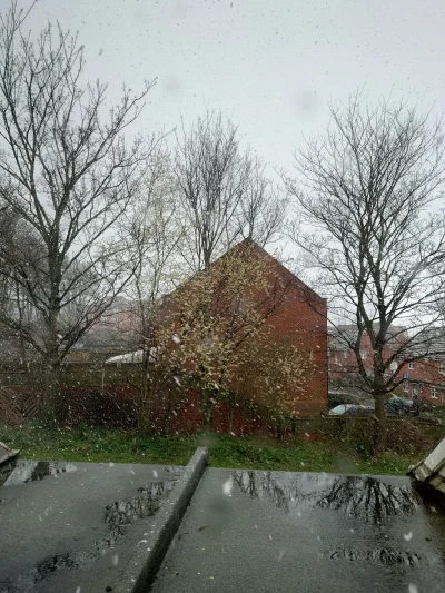 sorek - Pogodę #!$%@?ło.

#uk #yorkshire #barnsley