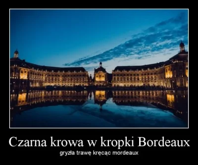 Lolenson1888 - Czy ta hanuszka powinna znaleźć się we wzorze hanuszki w Sevrès? Być m...