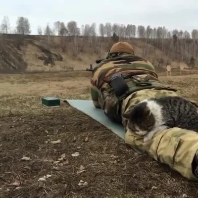 leeeon - #smiesznekotki #koty #militaria #heheszki #wojsko 
*Dad doesn't want a cat*...