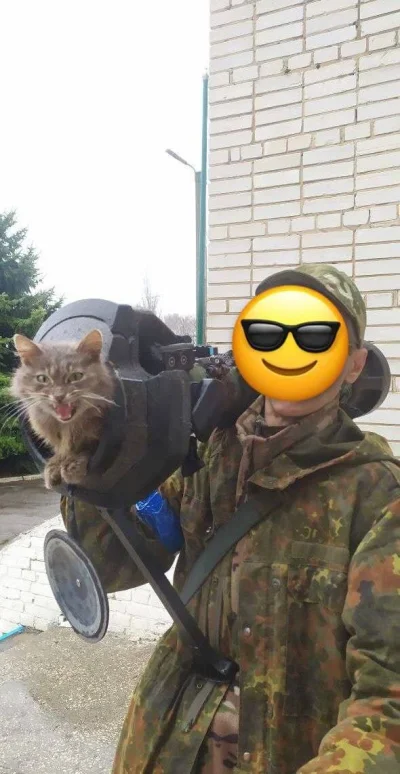 shege - #koty #ukraina #rosja 
#wojna