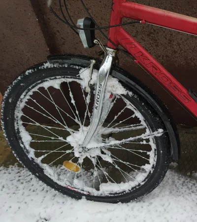 nerkanarowerze - Kwiecień to podobno od kwiatów :) #rower #zima #snieg
