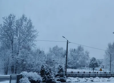 PannaAlusia - Ale dzisiaj ładny widok za oknem (ʘ‿ʘ) Zimowy poranek w kwietniu można ...
