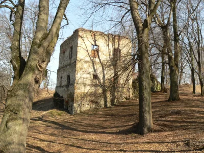 wykoprock - Ruiny zamku w Dąbrówce Starzeńskiej, lumix dmc-fz20

#byleczymbylecyfra...