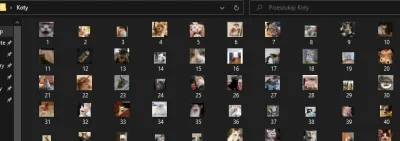 Atexor - > Ja mam caly folder z kotkami
@Tyrande: hello :)