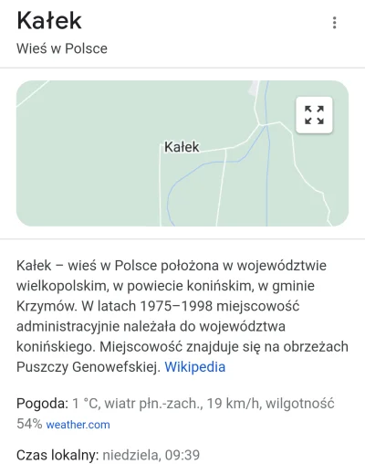 NAIZDUP - Jedne z wielu fekalnych miast na mapie Polski 
#kononowicz