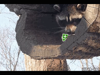 Trismagist - @01100011011010000110000101101101: Dał bym dwa plusy. To jest dokładny o...