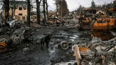 trumnaiurna - Bucza 36,3 tys. mieszkańców. Miasto przez ponad 2 tygodnie w całości ok...