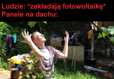 Mescuda - #kononowicz #patostreamy