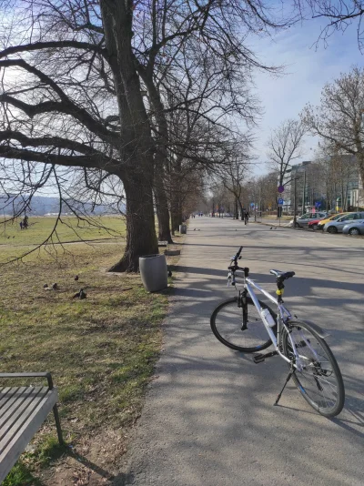 ZygmuntJedyny - Taka akacja w #krakow wczoraj. Pada deszcz. Jadę Karmelicką na #rower...