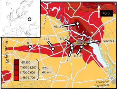 iuhiueh - Mapka skażenia gleby radioaktywnym cezem i zaznaczone miejsce ruskich okopó...