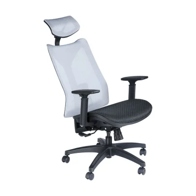 duxrm - Wysyłka z magazynu: PL
BlitzWolf BW HOC4 Office Chair Ergonomic Design
Cena...